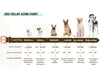 Pro Line Hunting Leather Collar and Leash Set