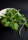 Tulsi Holy Basil Leaf, Granules