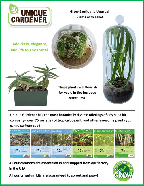 Crystal Glass Garden Seed Starting Terrarium