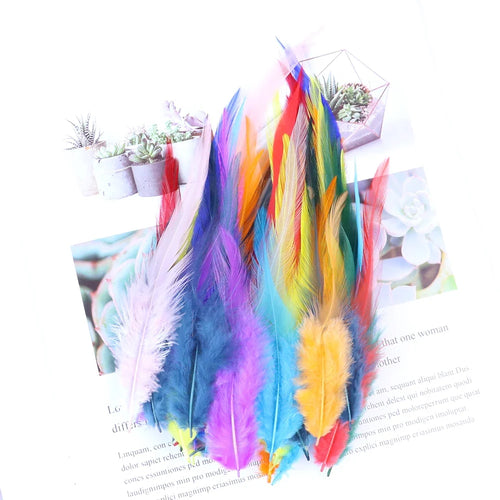 Natural Pheasant & Chicken Craft Feathers Bulk Lot