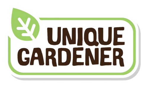 Slicing Cucumbers Sprouter Terrarium