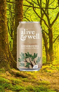 Oak & Coconut Kombucha Organic
