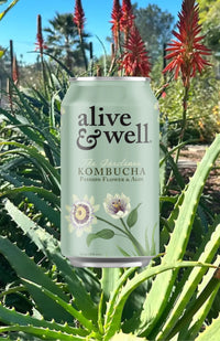 Aloe & Passion Flower Kombucha Organic