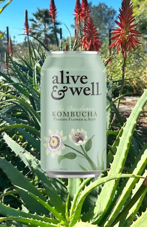 Aloe & Passion Flower Kombucha Organic
