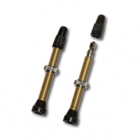 TUBELESS BRASS VALVE PAIR