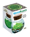 WaterPlants- Grow Lush Aquatic Plants from Seed! Thrives With Minimal Care