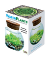 WaterPlants- Grow Lush Aquatic Plants from Seed! Thrives With Minimal Care