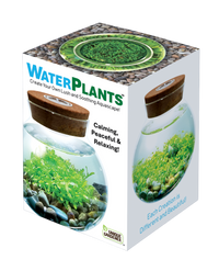 WaterPlants- Grow Lush Aquatic Plants from Seed! Thrives With Minimal Care