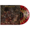 Red w/Gold & Black Splatter LP
