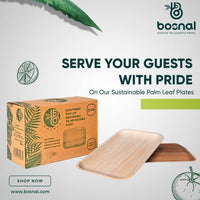 Bosnal - Palm Leaf Biodegradable Plates, 9 x 6 inch Rectangle Bosnal