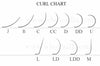 10D Slim/Sharp/Pointy Root Medium Stem Premade Fans 16 lines NO-Logo 160 fans【Sale】