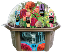 Zombie Apocalypse Biosphere Terrarium