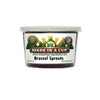 Brussels Sprouts Grow Kit | Grow Brussels Sprouts from Seed | Seeds In A Cup®
