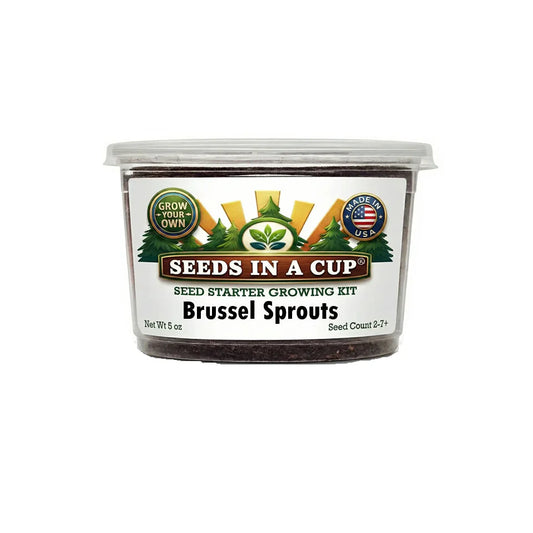 Brussels Sprouts Grow Kit | Grow Brussels Sprouts from Seed | Seeds In A Cup®