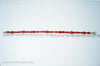 Designer Carolyn Pollack Relios Carnelian Red Jasper Sterling Silver Necklace