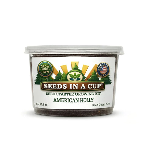 American Holly Grow Kit | Grow Holly from Seed | Seeds In A Cup®