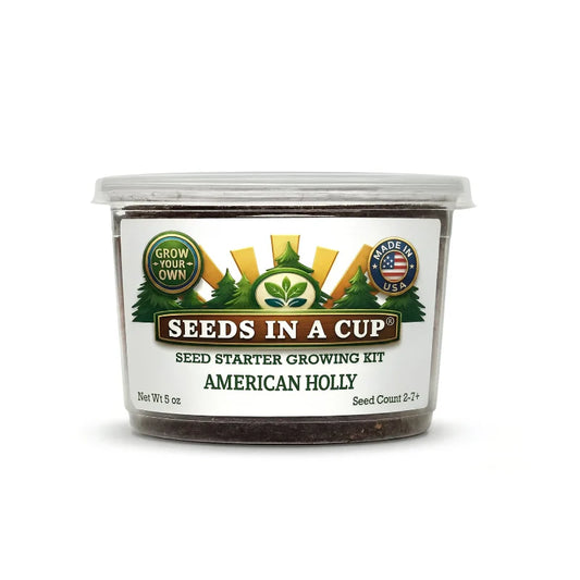 American Holly Grow Kit | Grow Holly from Seed | Seeds In A Cup®