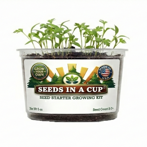 Cauliflower Grow Kit | Grow Cauliflower from Seed | Seeds In A Cup®