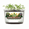 Vegetable & Herb Grow Kits All-in-One Indoor & Outdoor Garden Starter Kit