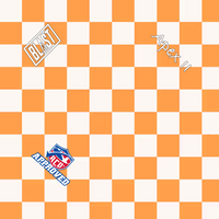 Checkered Flag ACO Pro Bags Pink or Orange - All Series/Speeds Available.