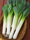 South Mountain Nursery Autumn Giant Leek Onion - 300 Seeds