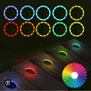 Buck In Cornfield Cornhole Board Set
