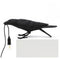 Black / Sitting Table Lamp / US