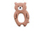 Brown Bear