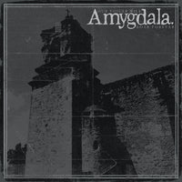 Amygdala "Our Voices Will Soar Forever" CD