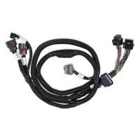 GM Gen V Gdi Late, Sub Harness