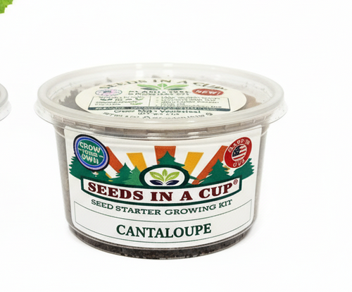 Cantaloupe Grow Kit | Grow Cantaloupe from Seed | Seeds In A Cup®