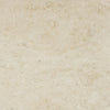 Cappuccino Light Beige Marble Floor and Wall Tile - Livfloors Collection