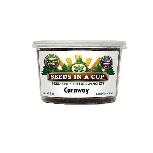 Caraway Grow Kit | Grow Fresh Caraway from Seed | Seeds In A Cup®