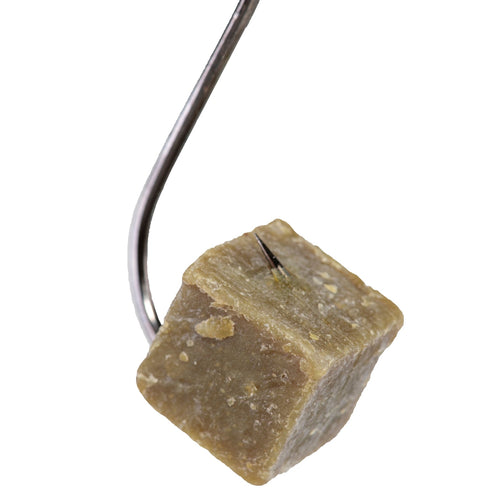 Catalpa Worm Catfish Bait Catfish Pro