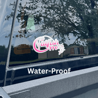 Catfish Pro Catfish Pro Logo Car/Boat Decal