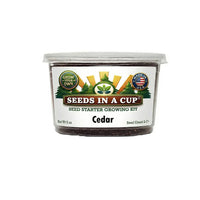 Cedar Seed Starter Kit | Grow Your Own Cedar from Seed | Seeds In A Cup®