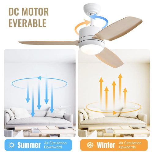 Ceiling Fans with Light with Reversible DC Motor and Adjustable Speed