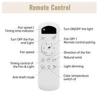 Ceiling Fans with Light with Reversible DC Motor and Adjustable Speed
