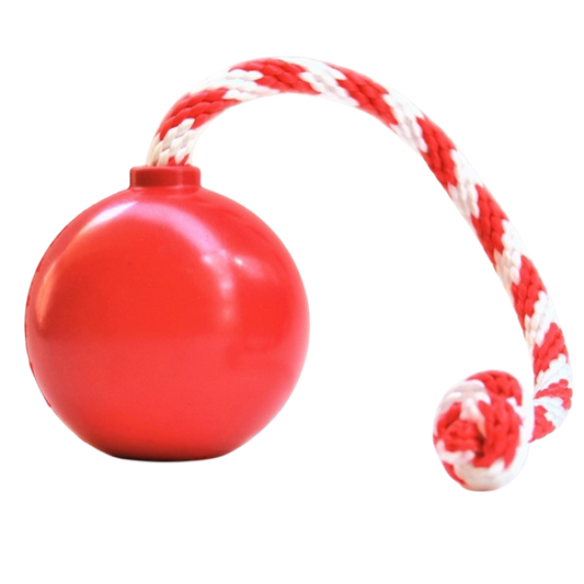 USA-K9 Cherry Bomb Rubber Dog Chew Toy | K9 Handler Reward Toy | Blue | USA Made