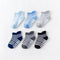 Light blue / 0 to 12 M