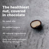 Chocolate Dipped Macadamia Nuts (12 Bags)
