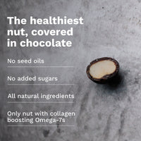 Chocolate Dipped Macadamia Nuts (12 Bags)