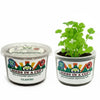 Cilantro Grow Kit | Grow Fresh Cilantro from Seed | Seeds In A Cup®