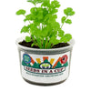 Cilantro Grow Kit | Grow Fresh Cilantro from Seed | Seeds In A Cup®
