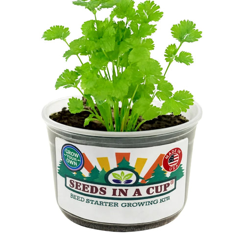 Cilantro Grow Kit | Grow Fresh Cilantro from Seed | Seeds In A Cup®