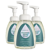 Foaming Hand Soap Puracy