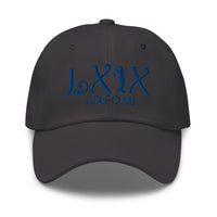 LXIX GOLF CLUB LXIX GOLF CLUB Curve Logo Dad Hat - Blue Logo