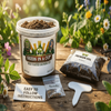 Cedar Seed Starter Kit | Grow Your Own Cedar from Seed | Seeds In A Cup®