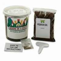 Pumpkin Grow Kit | Grow Pumpkin from Seed | Seeds In A Cup®