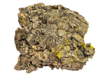 Cork Bark